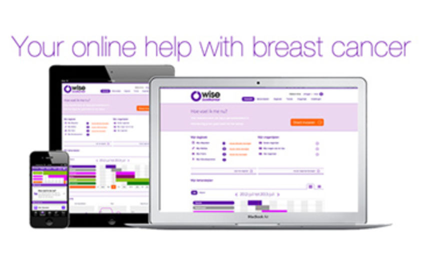 Evaluating OWise, a digital tool for supporting breast cancer patients image
